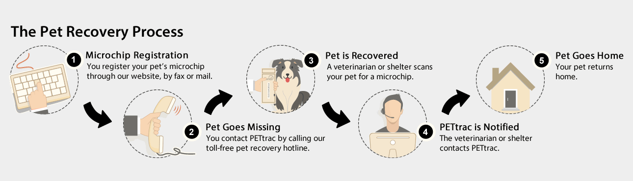 Pet Recovery