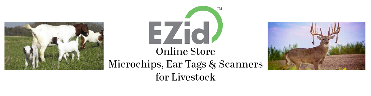 Avid EZid Online Store