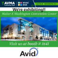 medium_-AVMA25.png