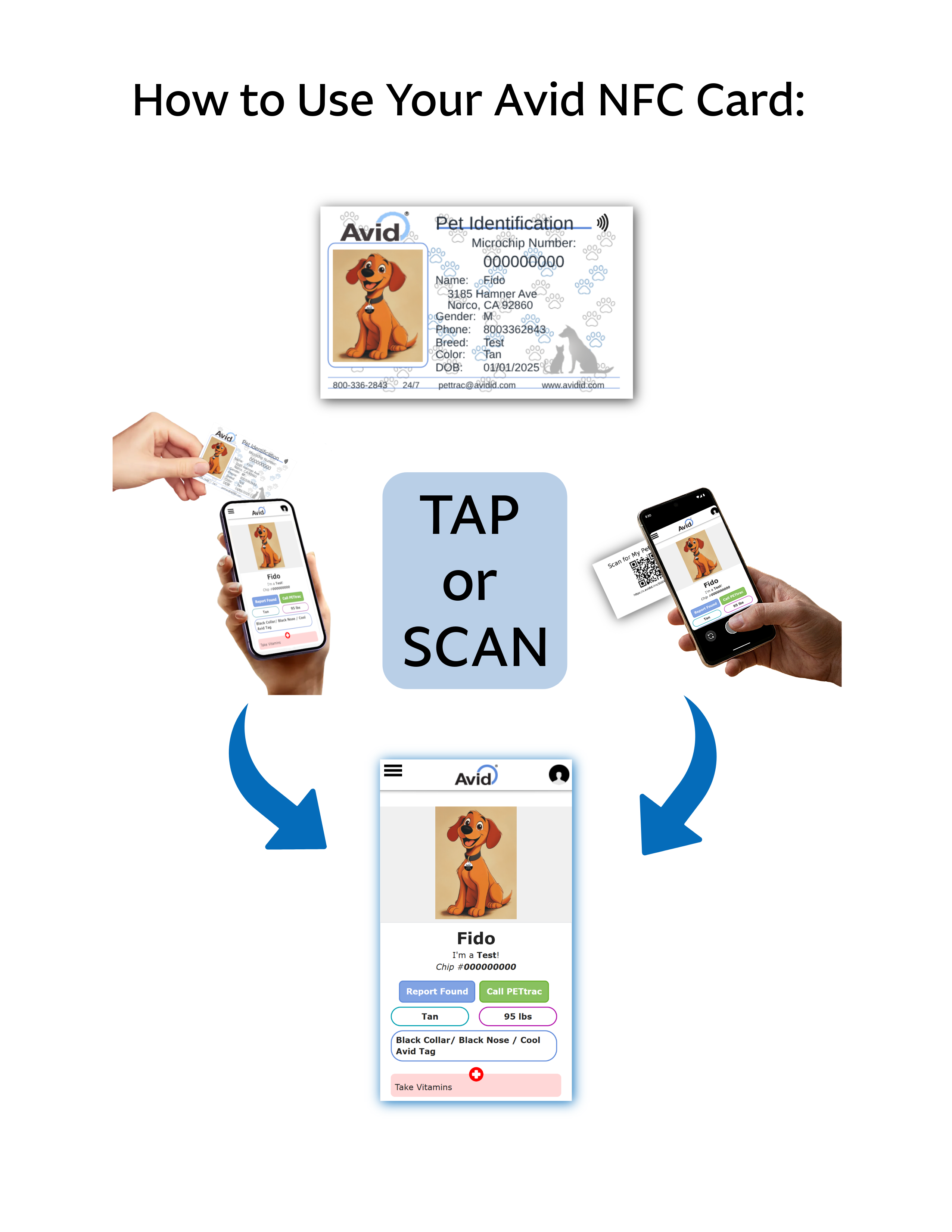 Using Avid NFC Pet ID Cards