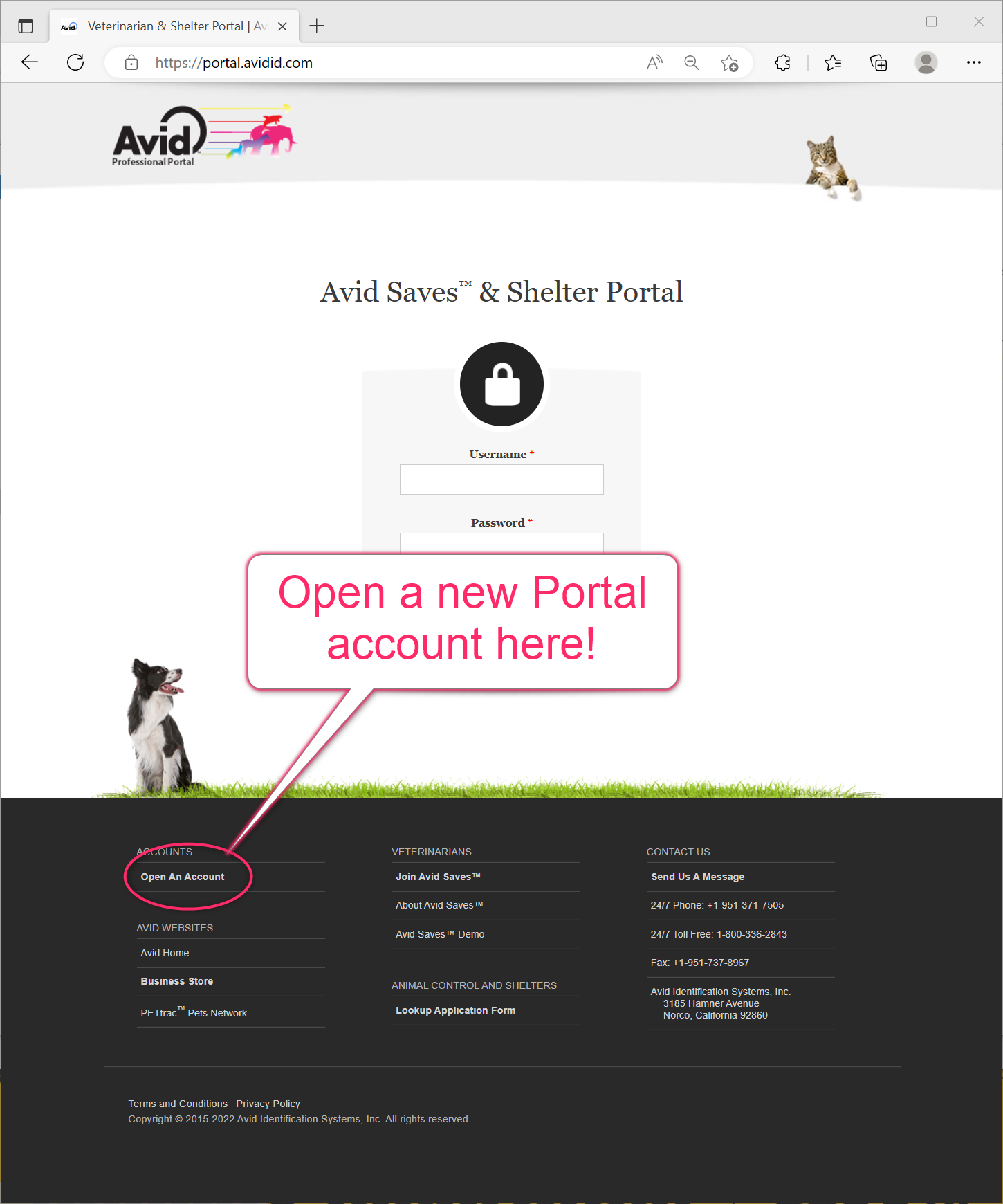 Link to enroll in Portal is on portal.avdid.com and located on first column in footer labeled Open an Account