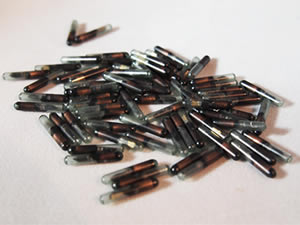 AVID Microchips are available in different sizes and frequencies